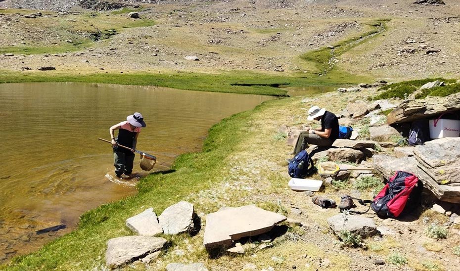 Susana Pallarés y José A. Carbonell recogen muestras en los lagos de Sierra Nevada (Foto. Pedro Abellán).