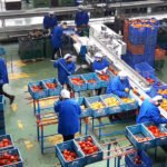 Agroindustria en Andalucía.