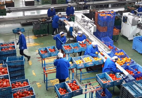 Agroindustria en Andalucía.