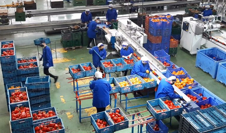 Agroindustria en Andalucía.