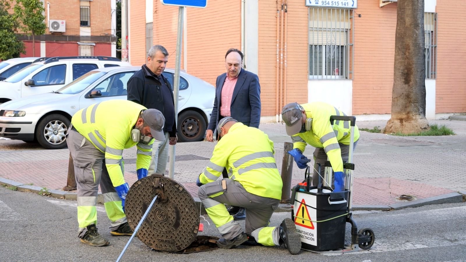El-Ayuntamiento-de-Sevilla-licita-contrato-de-desratizacion-y-control.jpeg