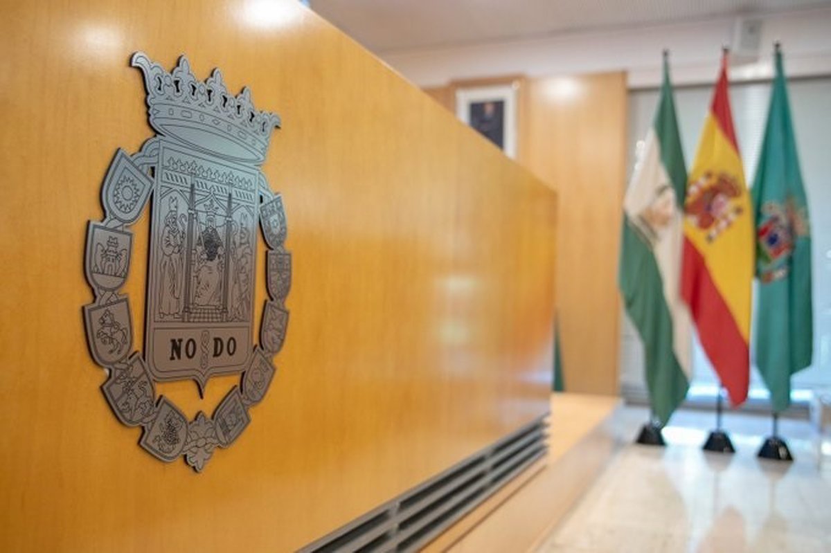 Pleno-de-la-Diputacion-de-Sevilla-para-aprobar-la-Medalla.jpg