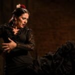 Flamenco andalusí