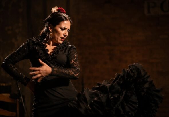 Flamenco andalusí